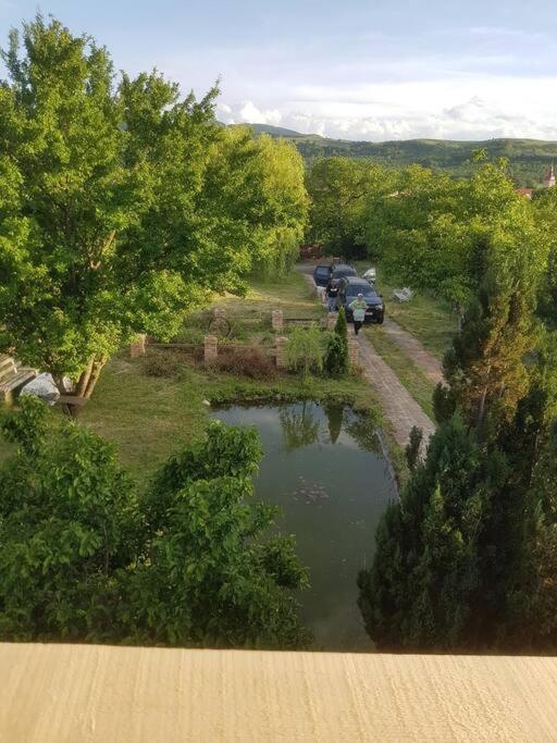 Cabana Mare In Intimitate Si Liniste Bosorod Exterior photo